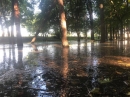 Залило водою Козачий острів