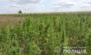 Поліцейські не дрімають