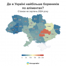 Понад п’ять тисяч боржників за аліментами на Кіровоградщині