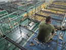 Кропивничанин отримав нагороду на міжнародному фотоконкурсі