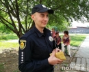 Співпрацюємо з населенням