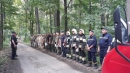 Спільні тренування
