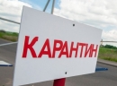 Карантин на Кіровоградщині: 40 днів ізоляції, мобільні патрулі та знищення хворих тварин 