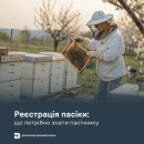 Реєстрація пасіки: що потрібно знати пасічнику