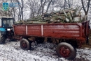 Незаконною порубкою дерев завдано збитки довкіллю на суму понад 600 тис гривень