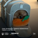 Уперше в Україні затверджено єдині правила перевезення тварин у міжміських та міжнародних автобусах