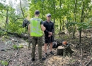 На Кіровоградщині поліцейські викрили учасників злочинної групи у незаконній порубці деревини цінної породи на суму у понад 2 млн грн