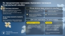 Купуєте товари українського виробника — отримаєте 10% кешбеку. Уряд дав старт новому сервісу в Дії   