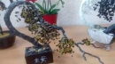 Гарний настрій гарантований