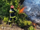 За минулу добу підрозділи ДСНС Кіровоградщини ліквідували майже два десятки пожеж