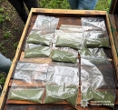 На Кіровоградщині викрили групу наркозбувачів: чотирьом фігурантам повідомили про підозру