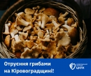 На Кіровоградщині жінка отруїлася грибами