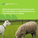 Понад 93 млн грн державної підтримки вже отримали українські фермери на утримання кіз та овець