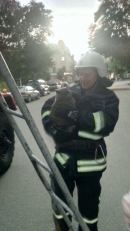 Допомогли чотирилапим 
