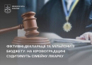 Фіктивні декларації та мільйони з бюджету: на Кіровоградщині судитимуть сімейну лікарку
