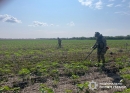 Упродовж лише двох місяців вибухотехніки поліції Кіровоградщини обстежили понад 40 га території на деокупованій Херсонщині