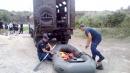 Гинуть на з водоймах